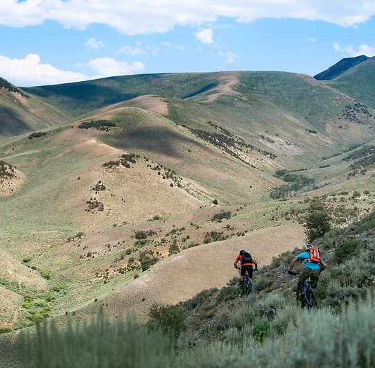 Mountain bikers descending a mountain trail