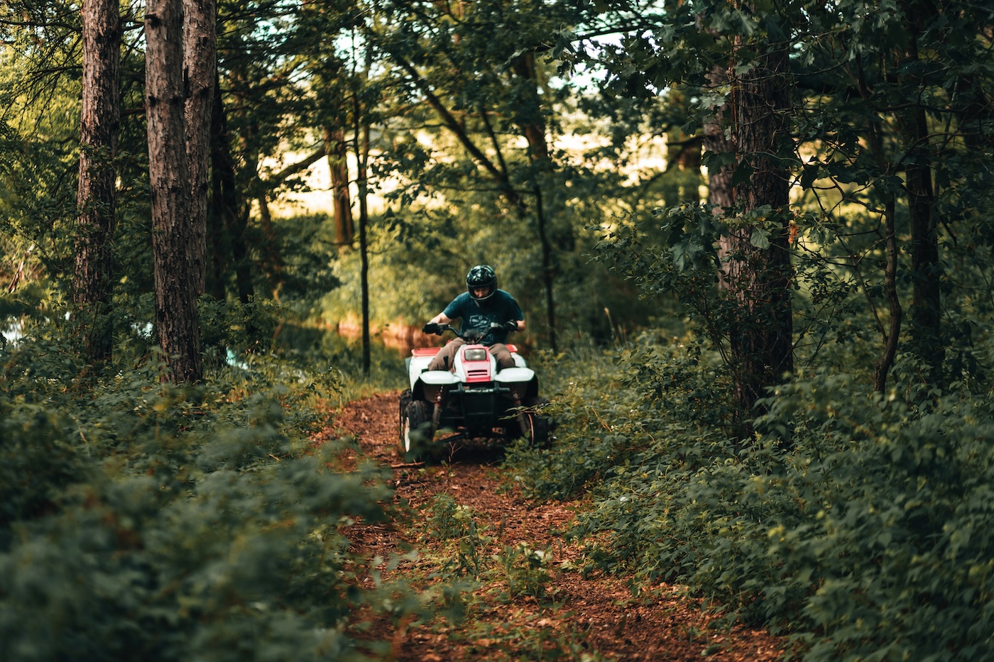 OHV rider on a wooded trail