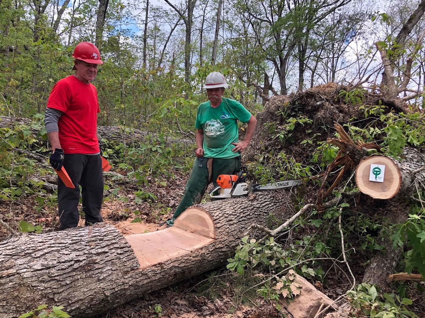 a volunteer trail crew on a trail in the national forest